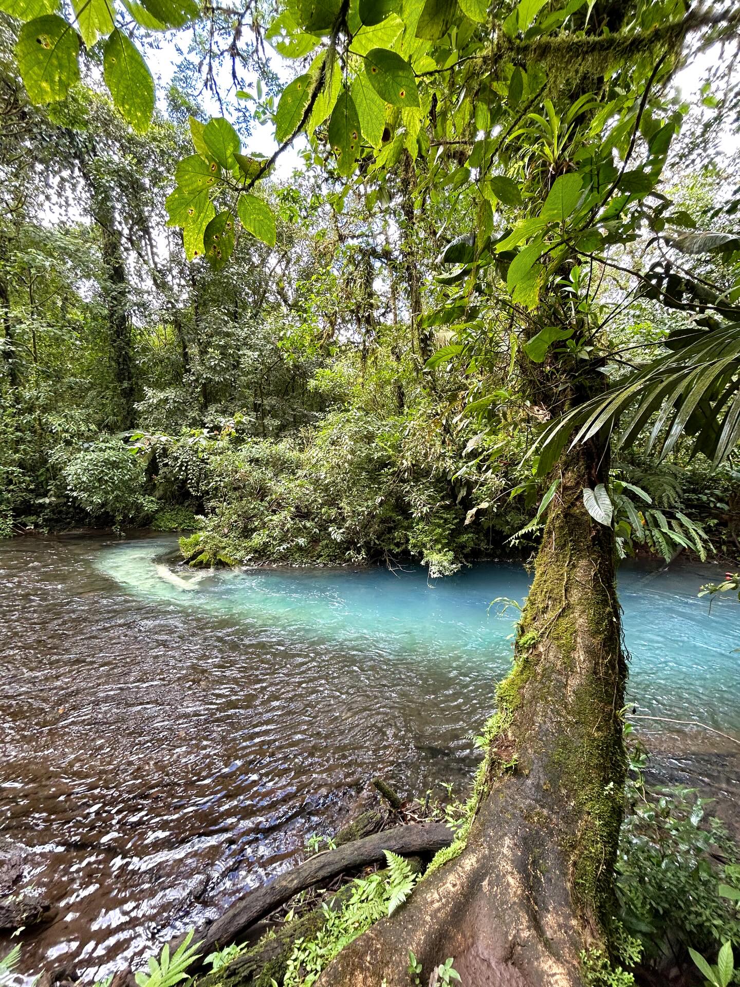 Ansicht von Rio Celeste