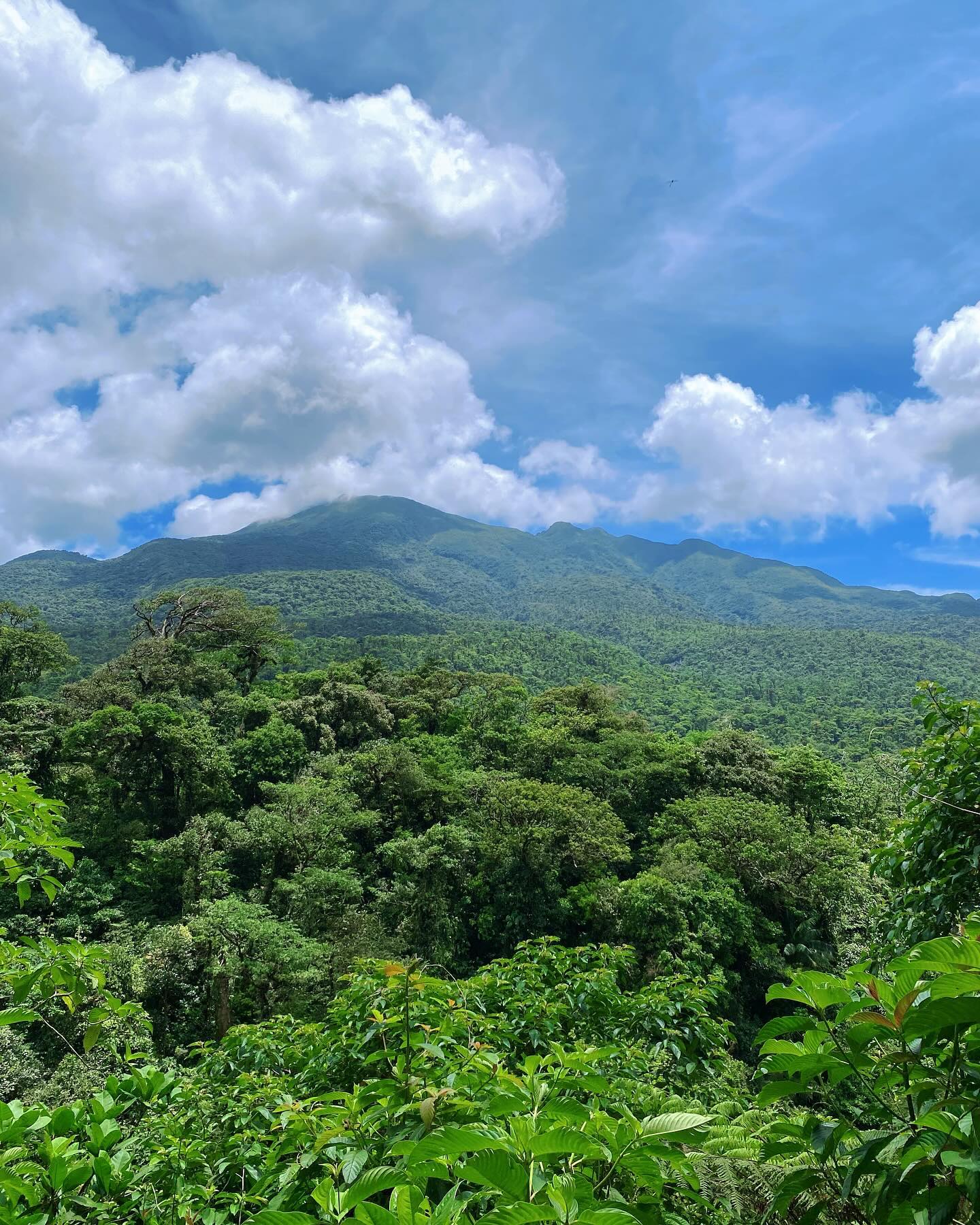 Ansicht von Rio Celeste